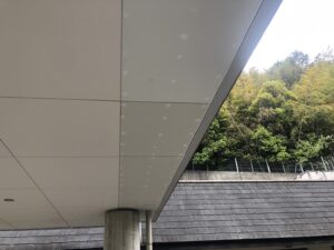 軒天塗装