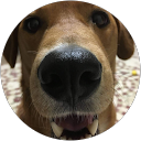 Kitakaze Kozou profile picture